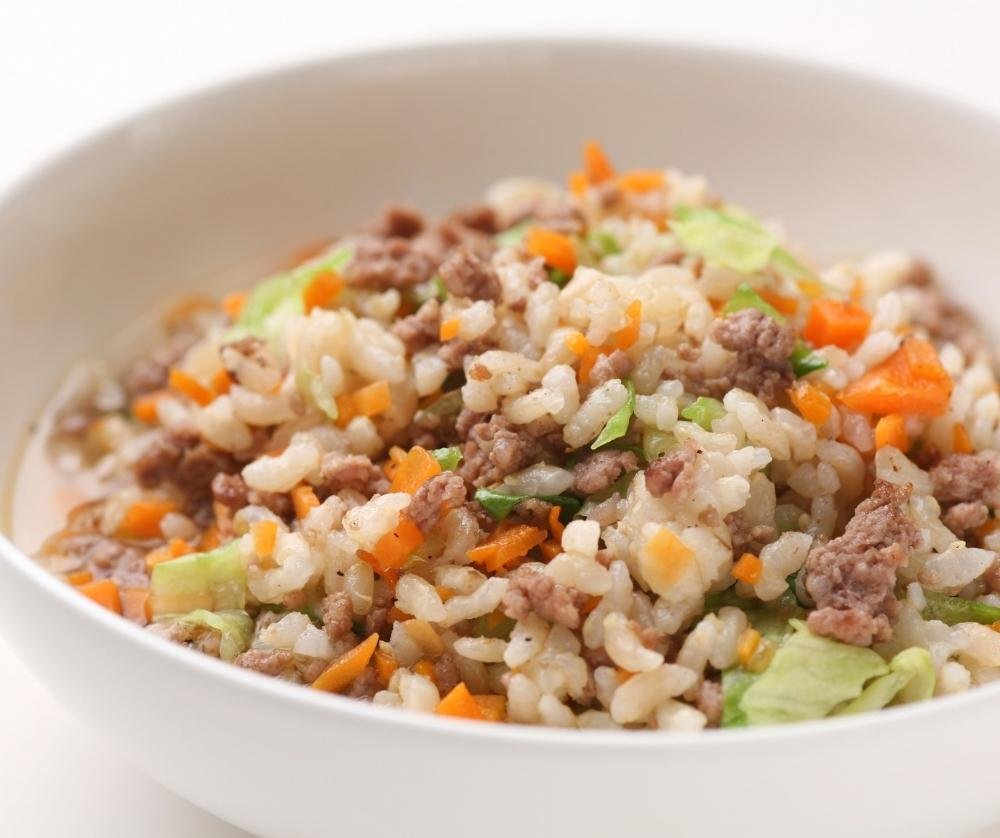 dog food with meat, rice and veggies