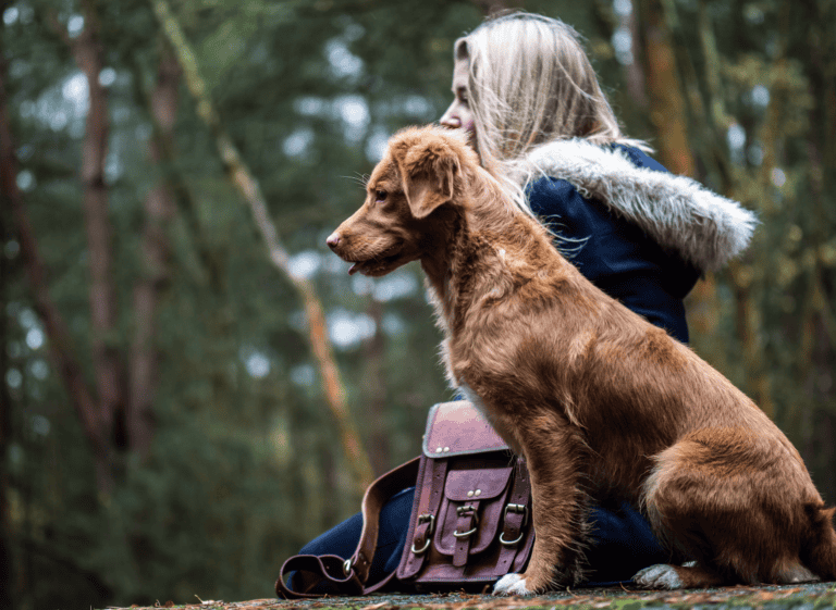 Why Does My Dog Always Sit on Me? dogpackr